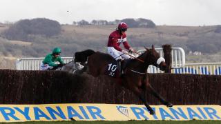 Cheltenham Festival winner Shattered Love